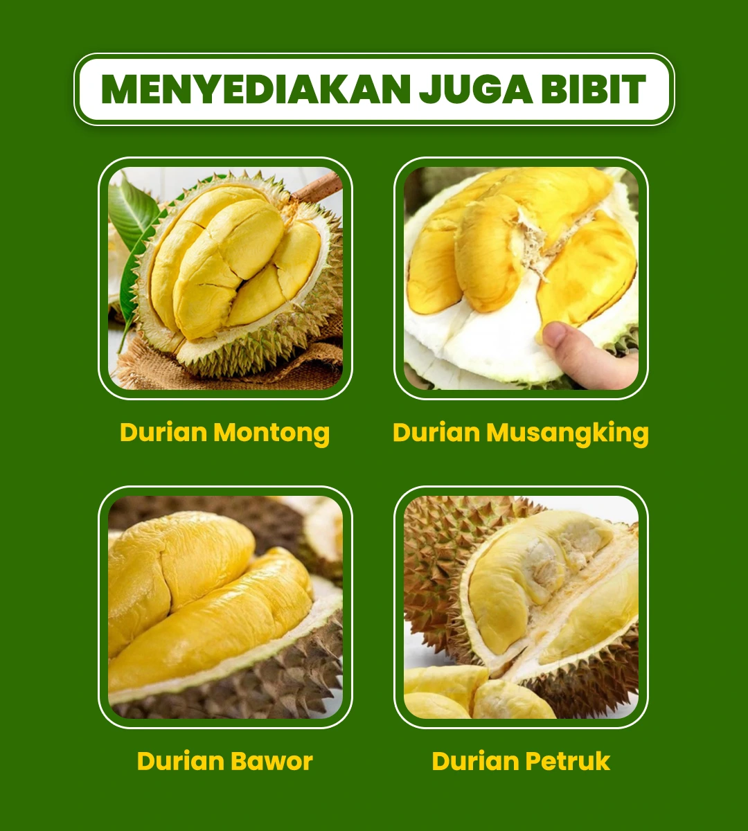 PAGE-10-2.webp
