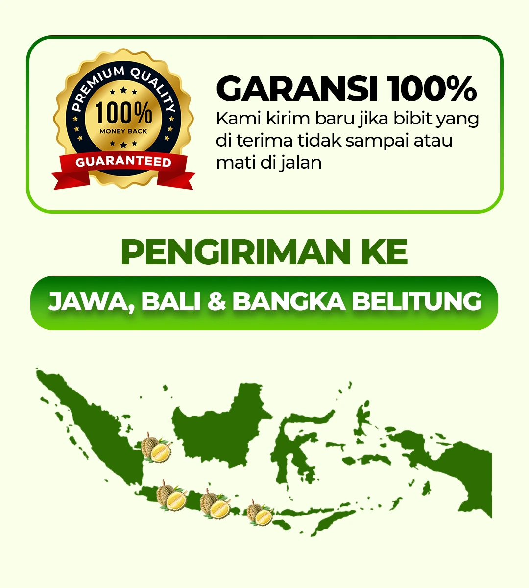 PAGE-11-1.webp