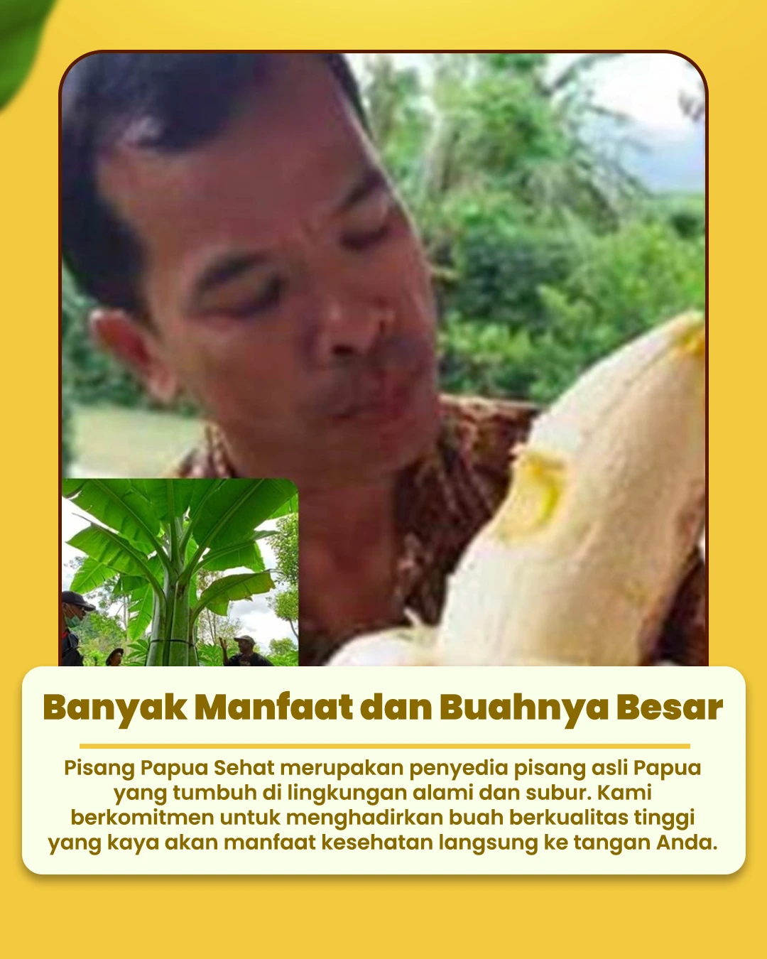 PAGE-2-7.webp