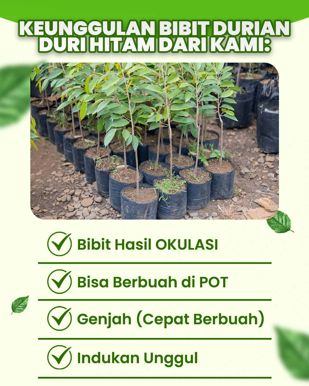 PAGE-3-5.webp