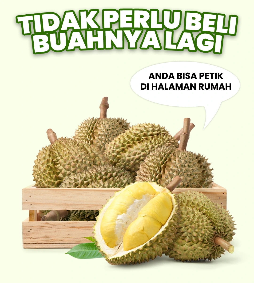 PAGE-4-5.webp