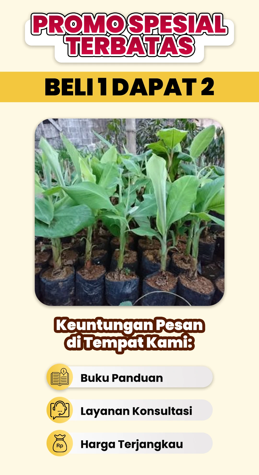PAGE-5-6.webp