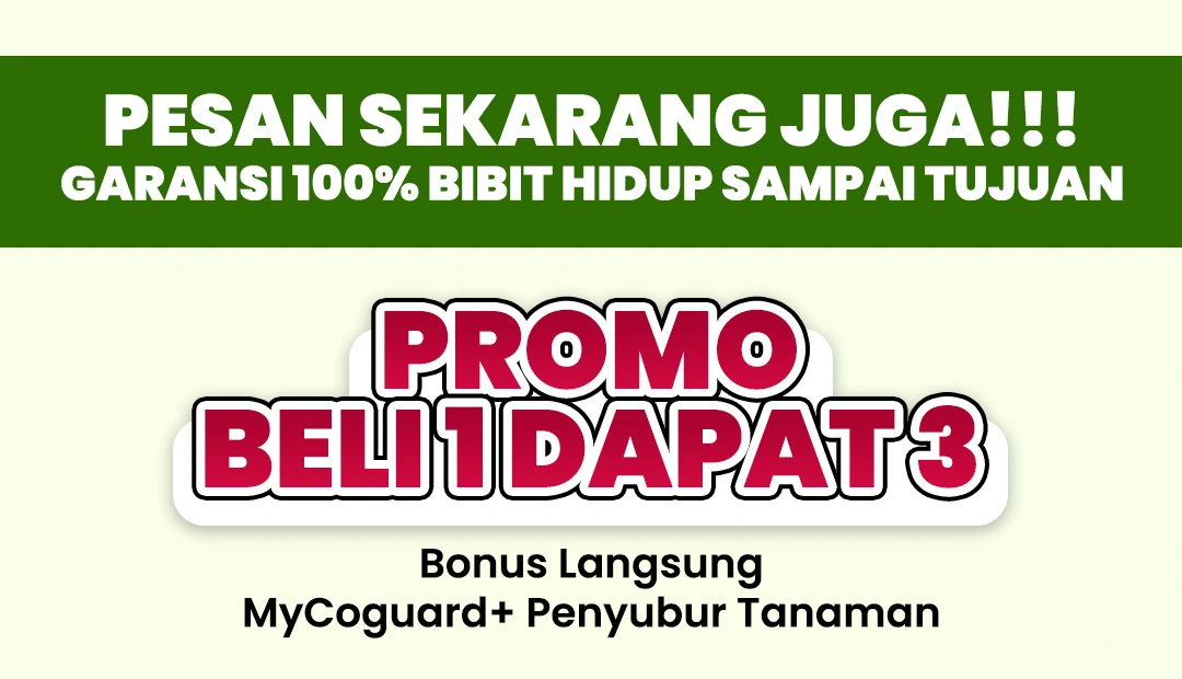 PAGE-6-5.webp