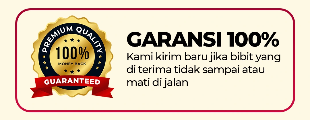 PAGE-8-6.webp