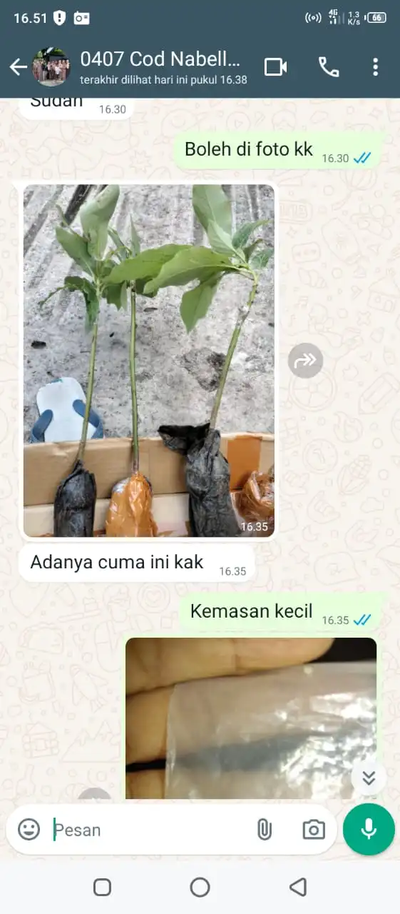 dukutes1