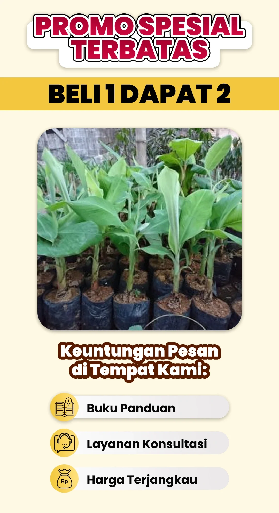 PAGE-5-6.webp